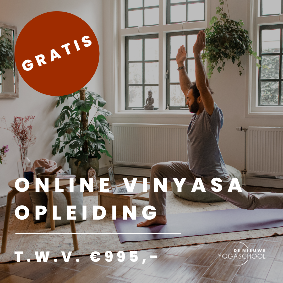 STAP-Budget Online Vinyasa Opleiding De Nieuwe Yogaschool