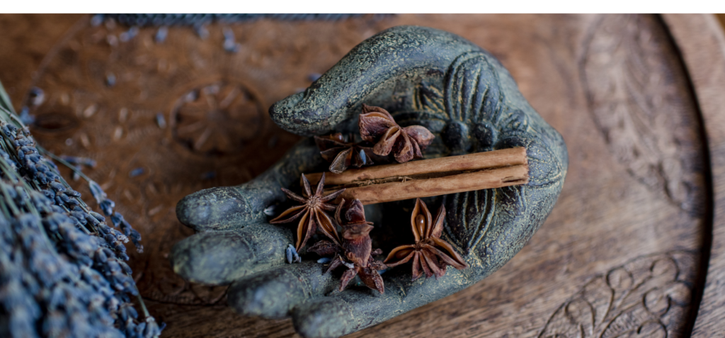 Schaaltje met ayurvedische voeding en kruiden die Jolijn gebruikt in haar aryuvedische workshop