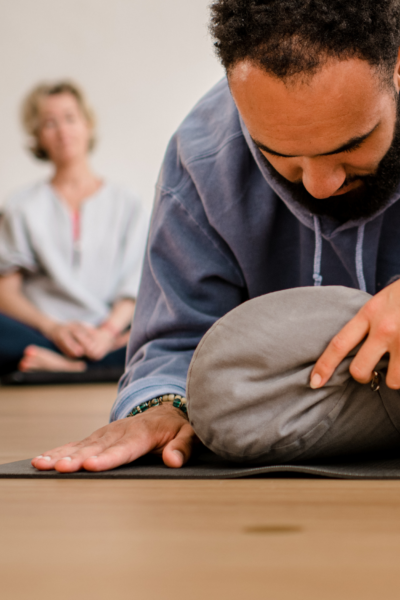 Opleidingen en trainingen, DNYS Academie, Teacher Trainingen, Coach opleidingen, Ademcoach, Vinyasa Opleiding, Yin Opleiding, Early Bird