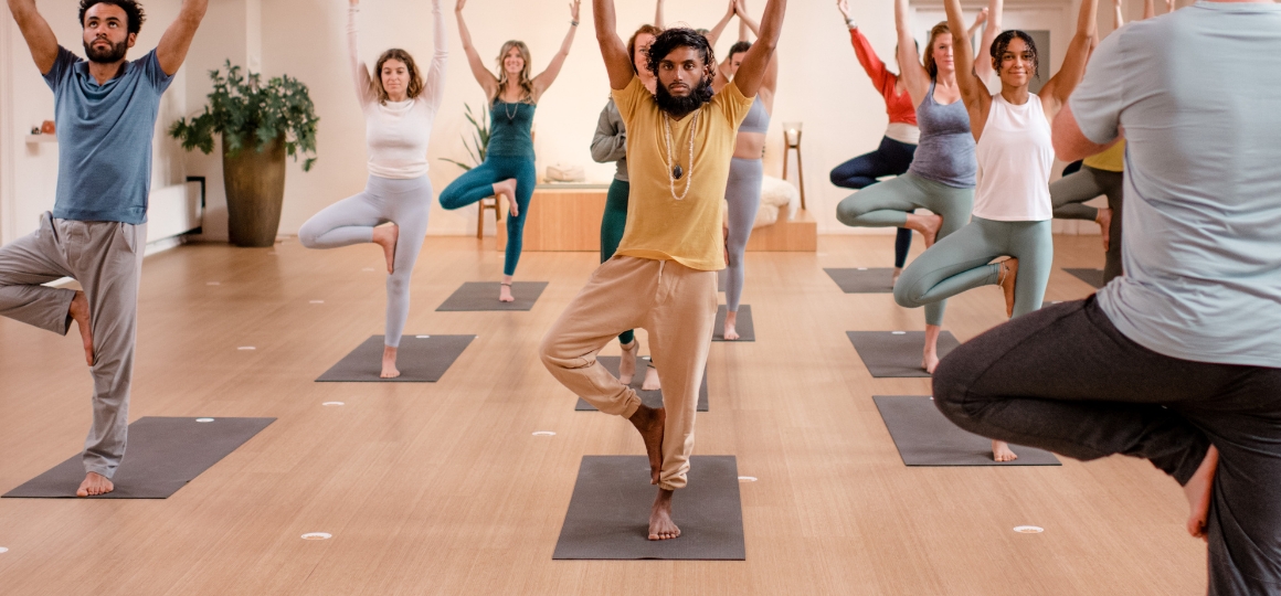 groep studenten in tree pose tijdens een vinyasa les bij De Nieuwe Yogaschool